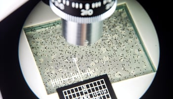 Particles under a microscope